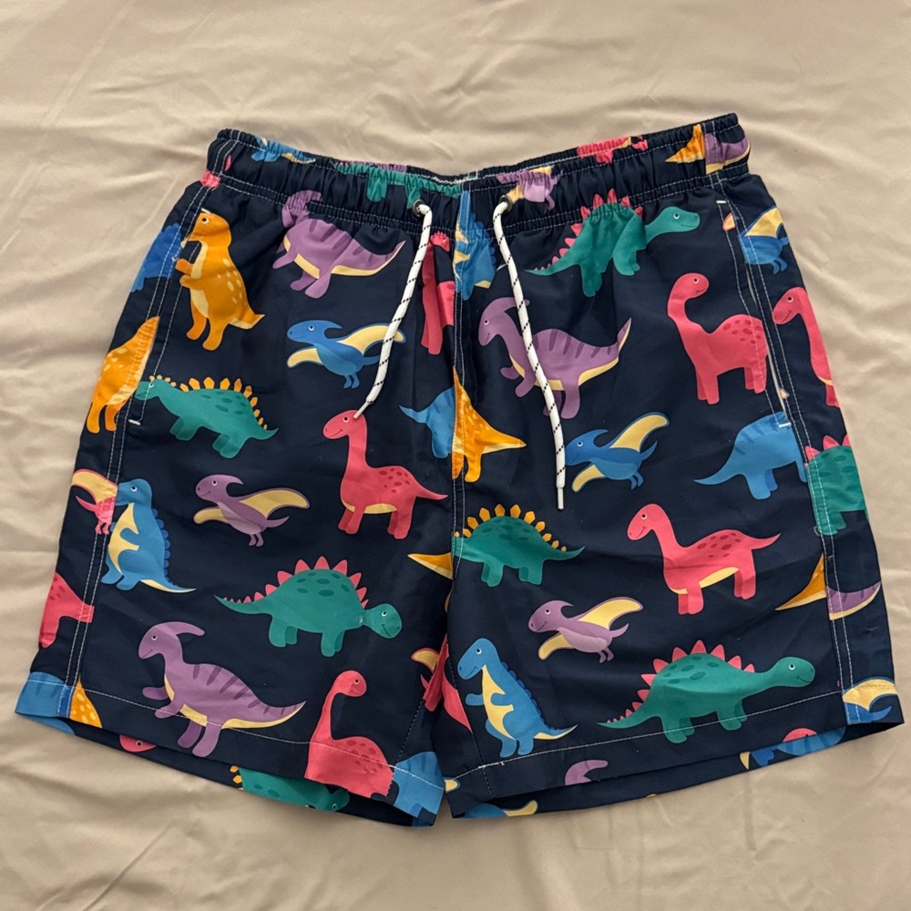 Colorful Dinosaur Print Men’s Swim Shorts